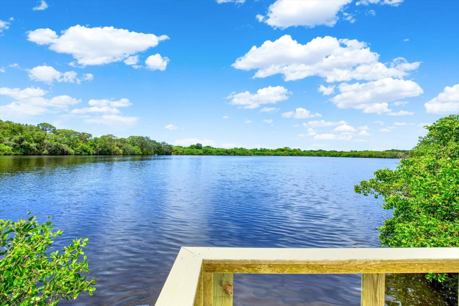 Dock and Lake Views