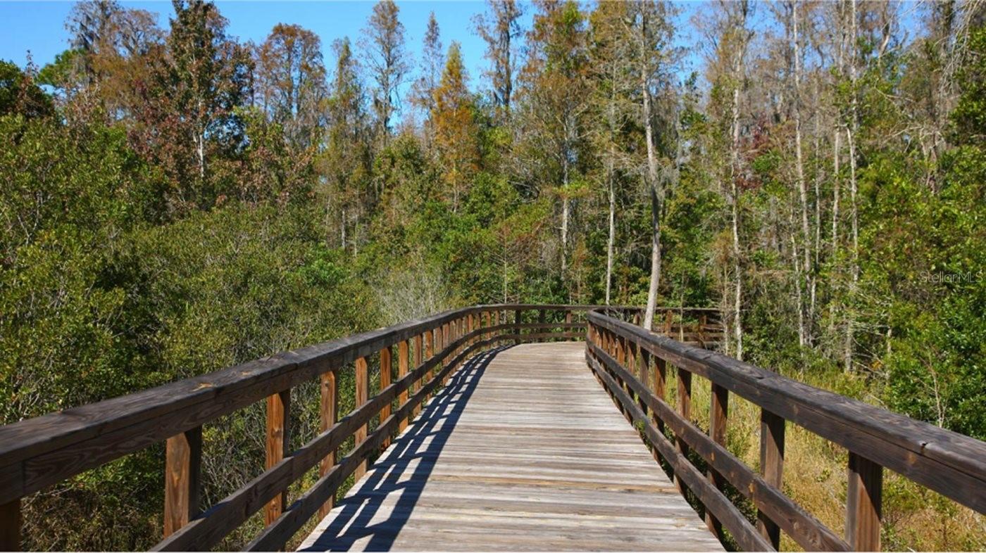 One of many Trails in Connerton