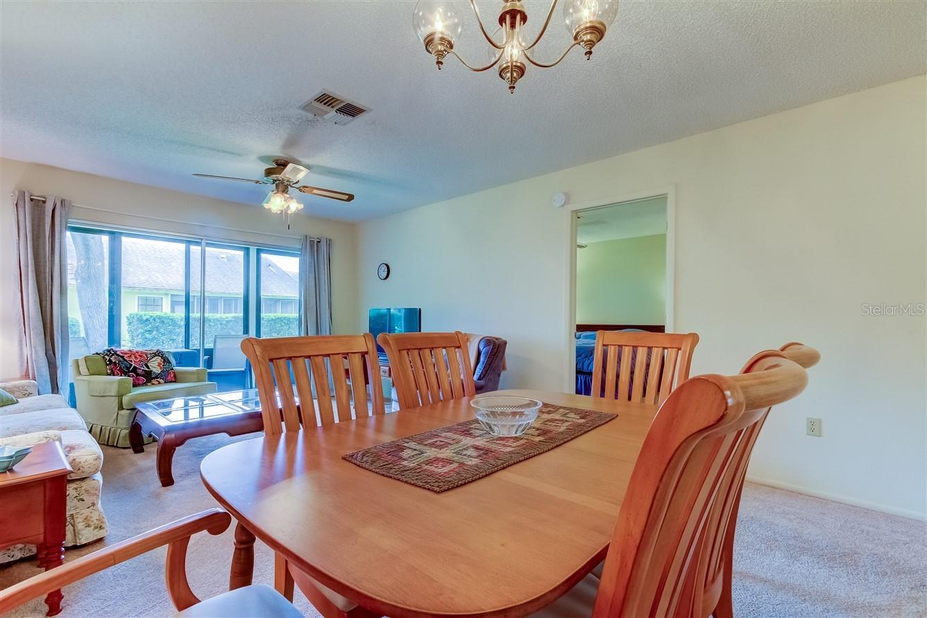 Living Room/Dining Room Combo