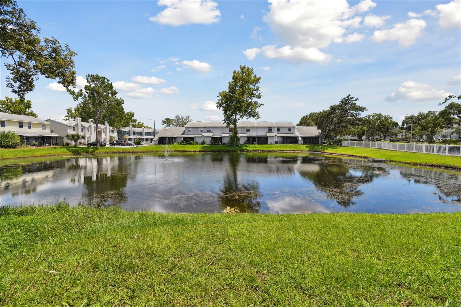 Pond View!