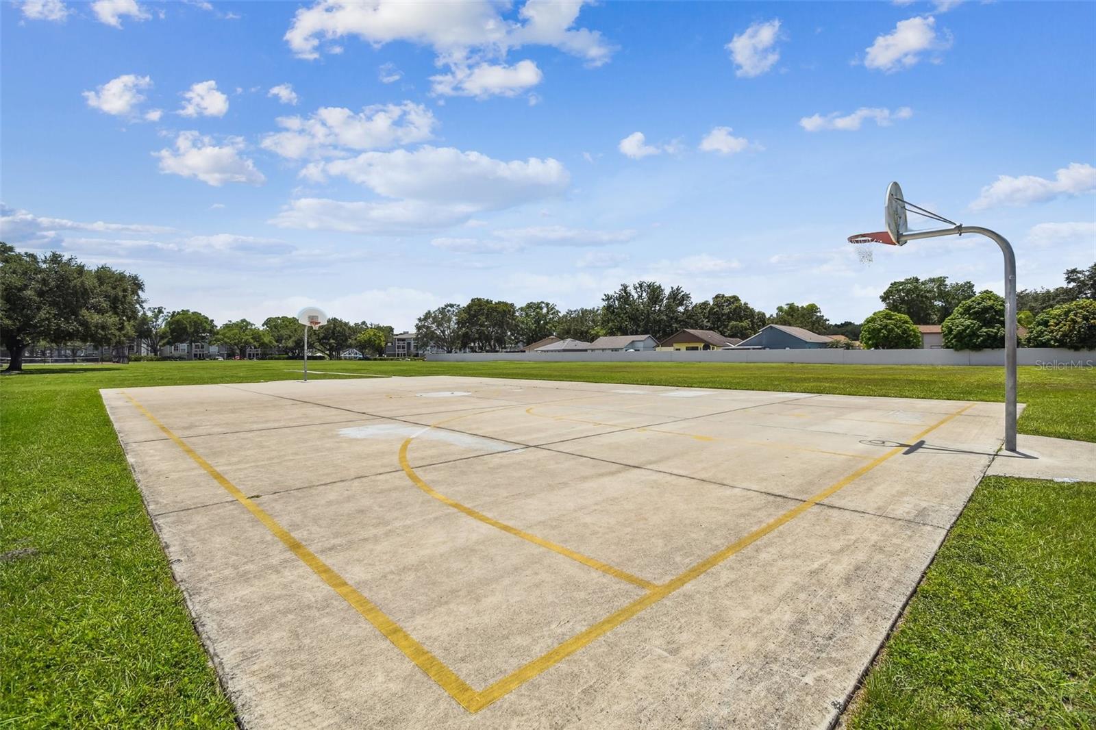 Basketball Court