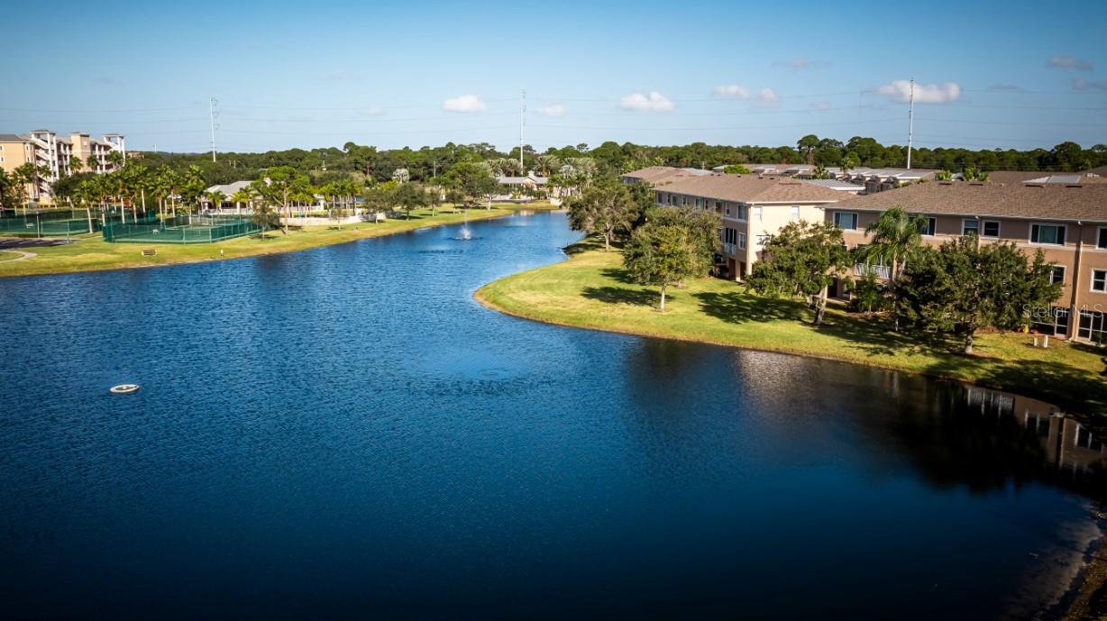 Community Pond