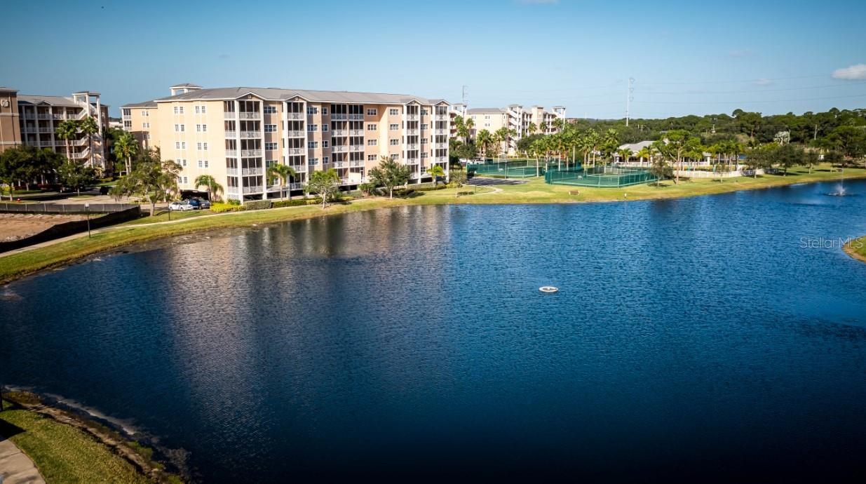 Community Pond