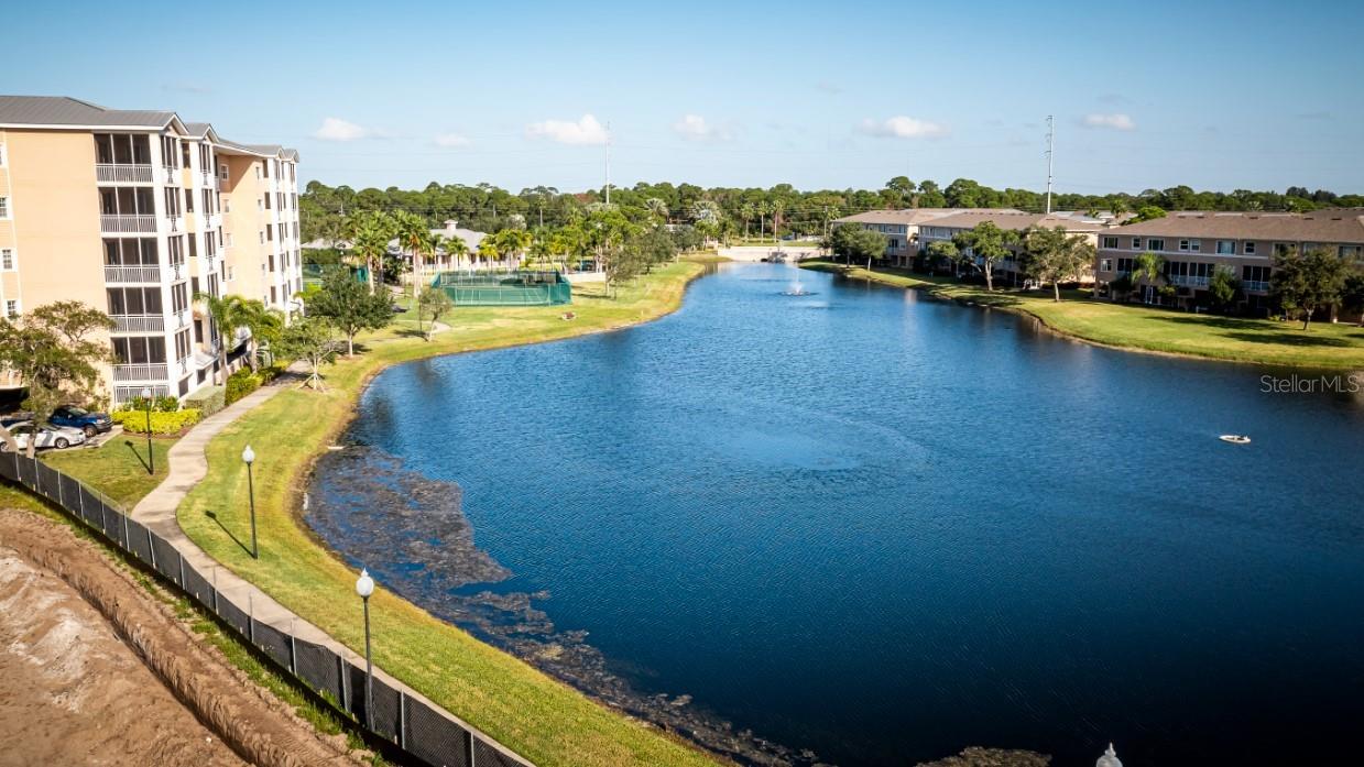 Community Pond