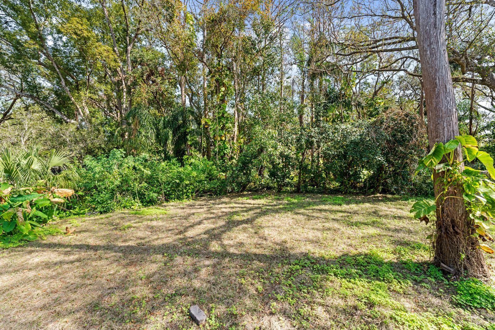 T3538279