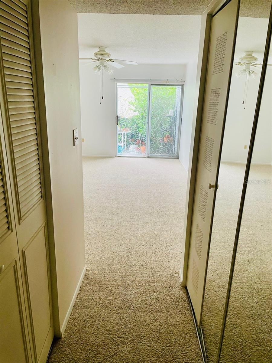 Walk-in closet hallway