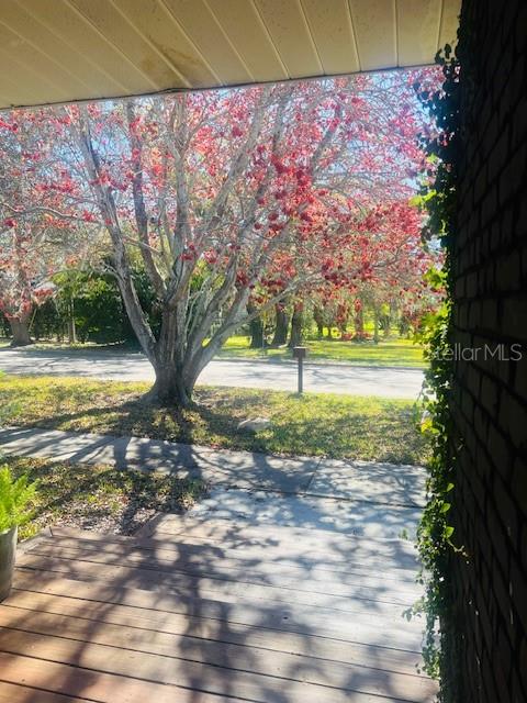 The winter view from the front door