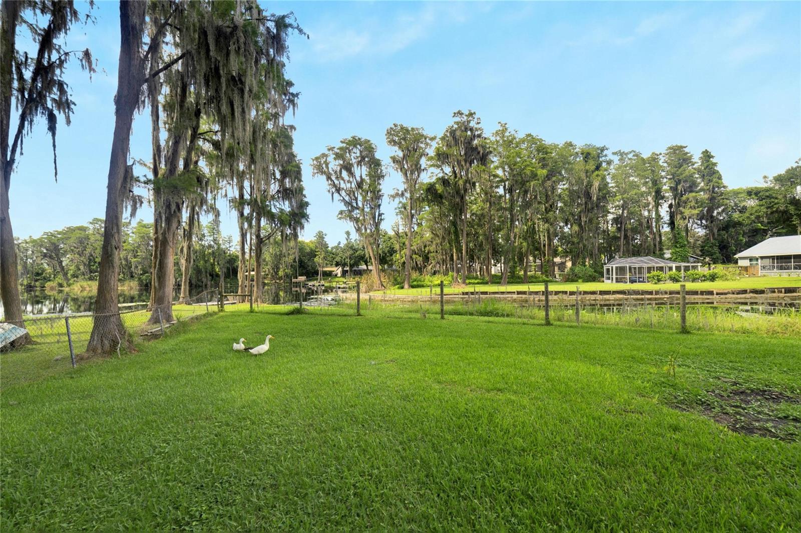 Large Lake front back yard