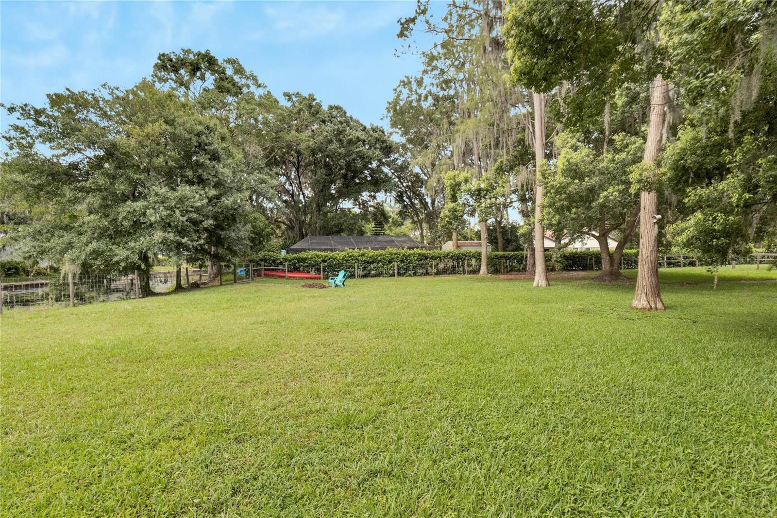 Mature shade trees