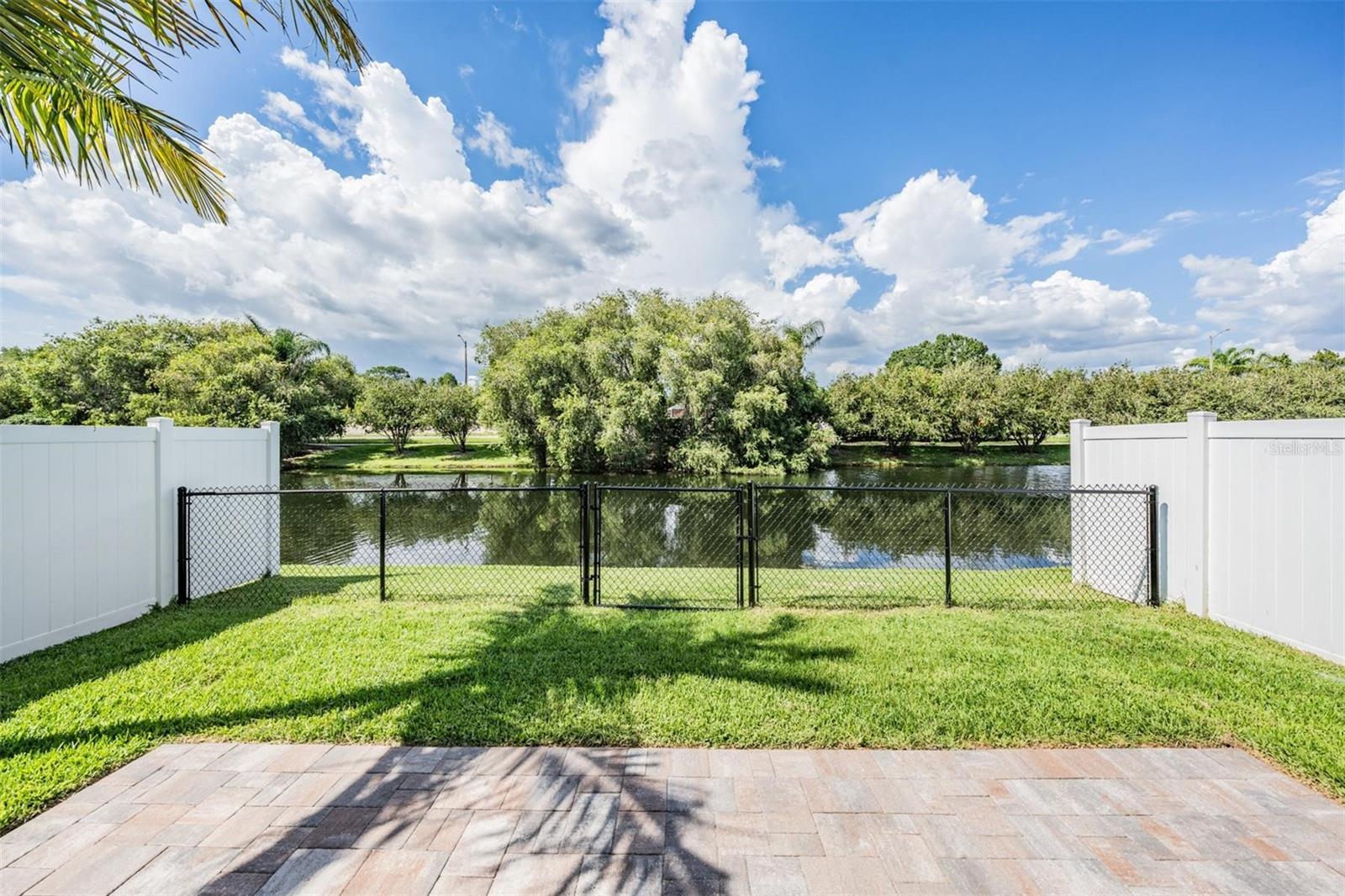 View of the backyard