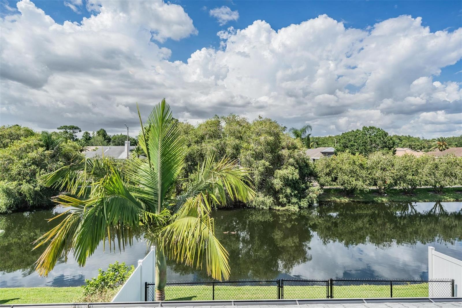 Aerial view of the backyard