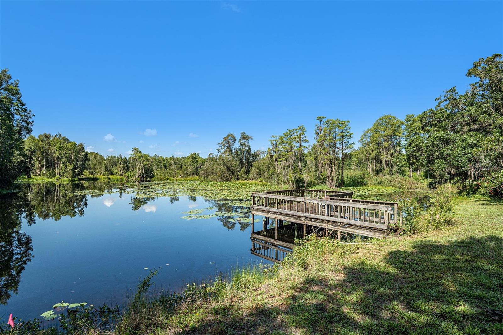 Lake Magdalene Waterfront