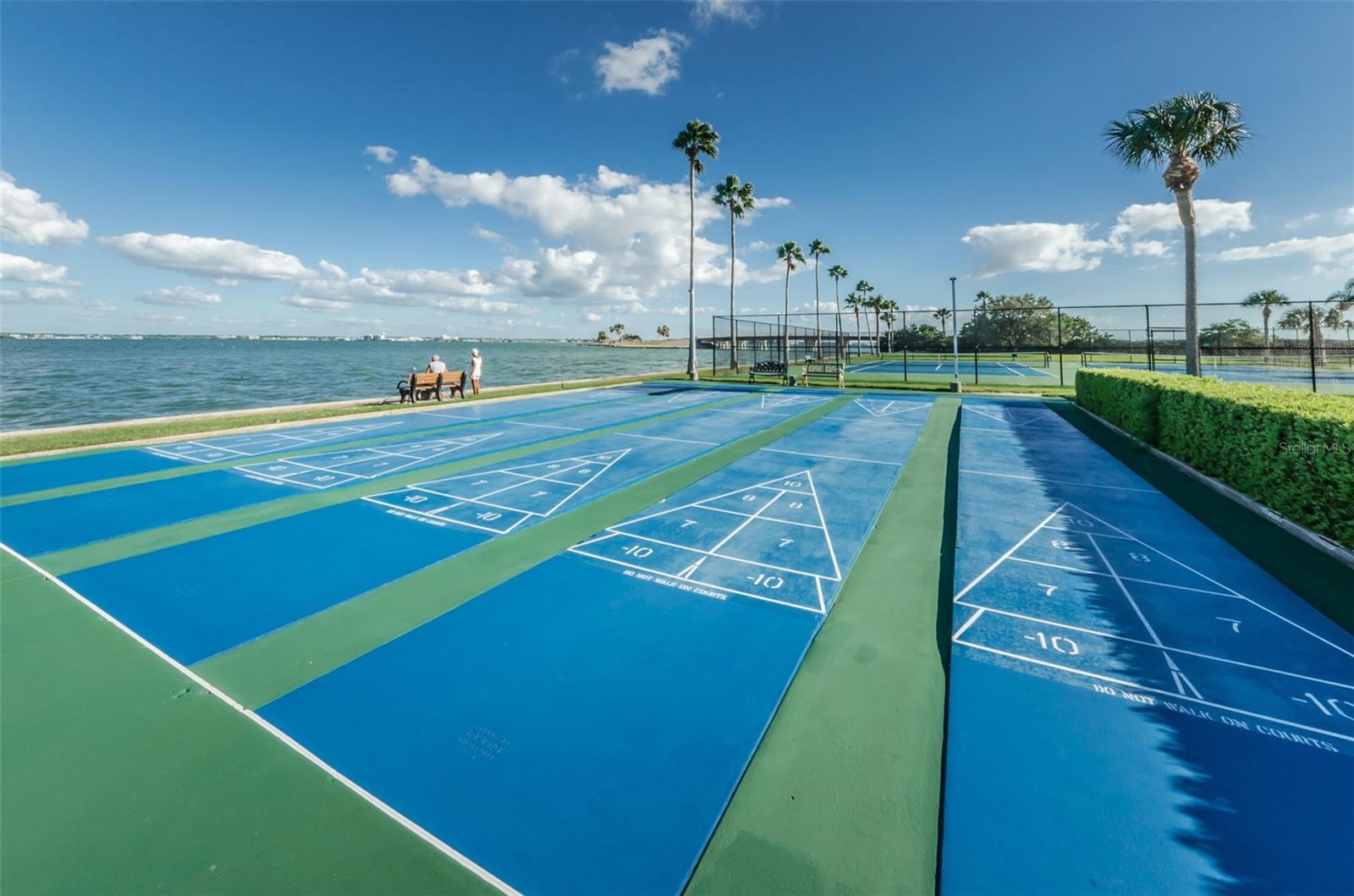 Community Shuffleboard