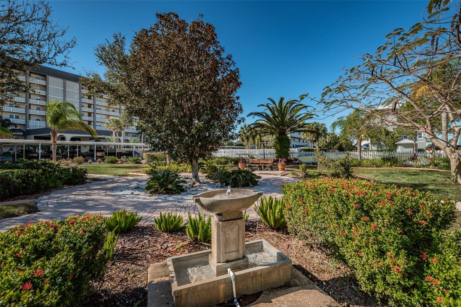 Community Common Area