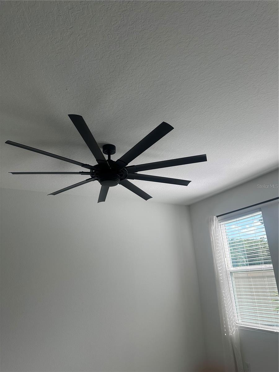 Fan in Family room