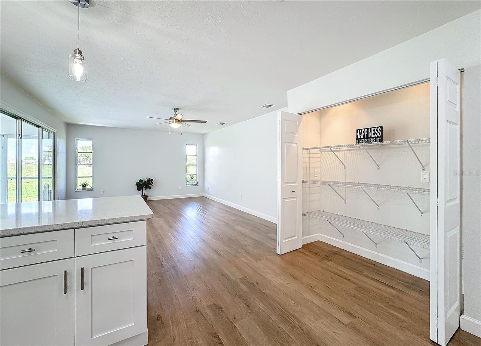 Kitchen Pantry