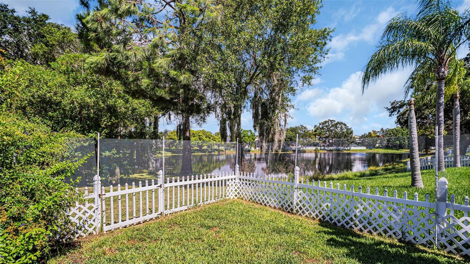 Pond View