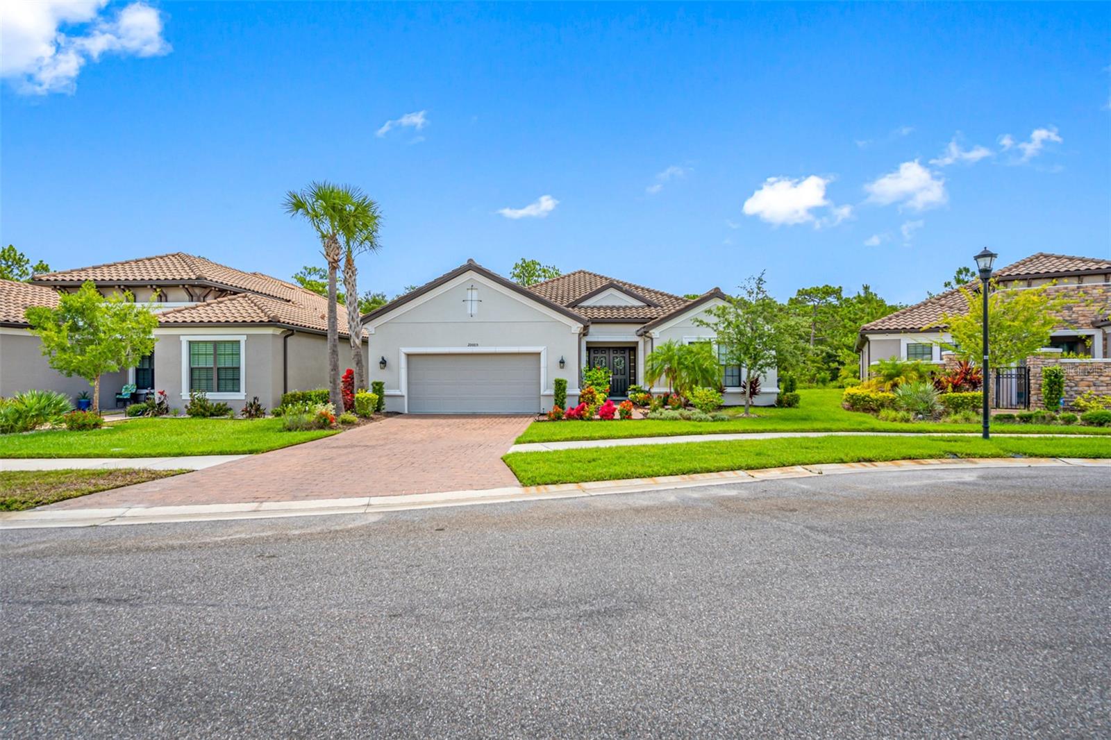 20005 Umbria Hill Drive, Tampa, Florida 33647