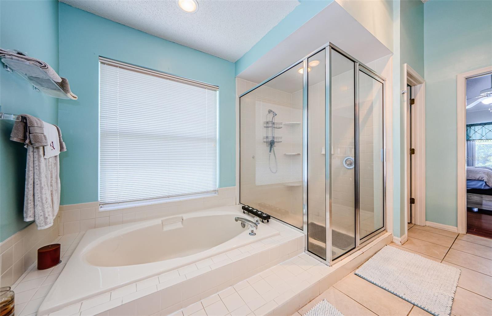 Garden Tub & Large Step In Shower