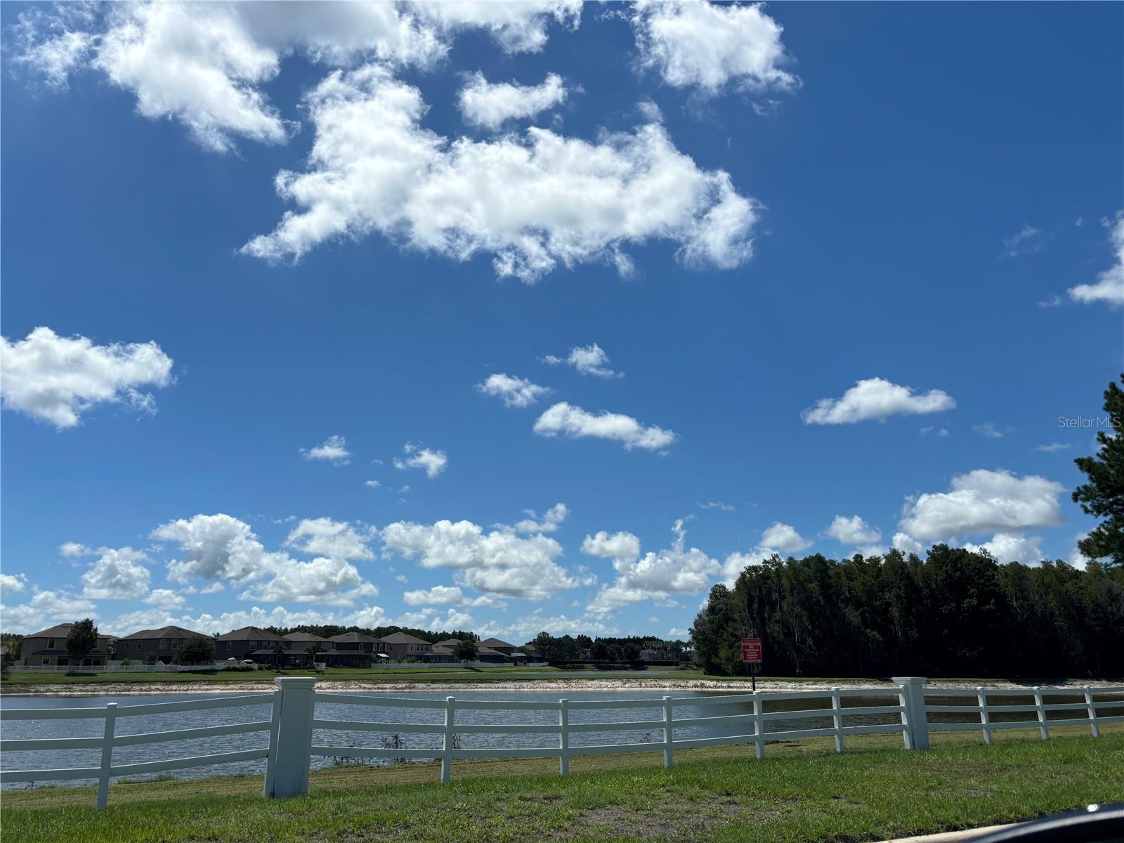 Trinity East community conservation pond