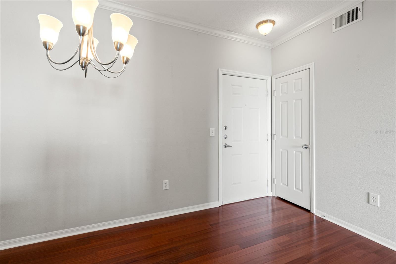 Front door and storage closet