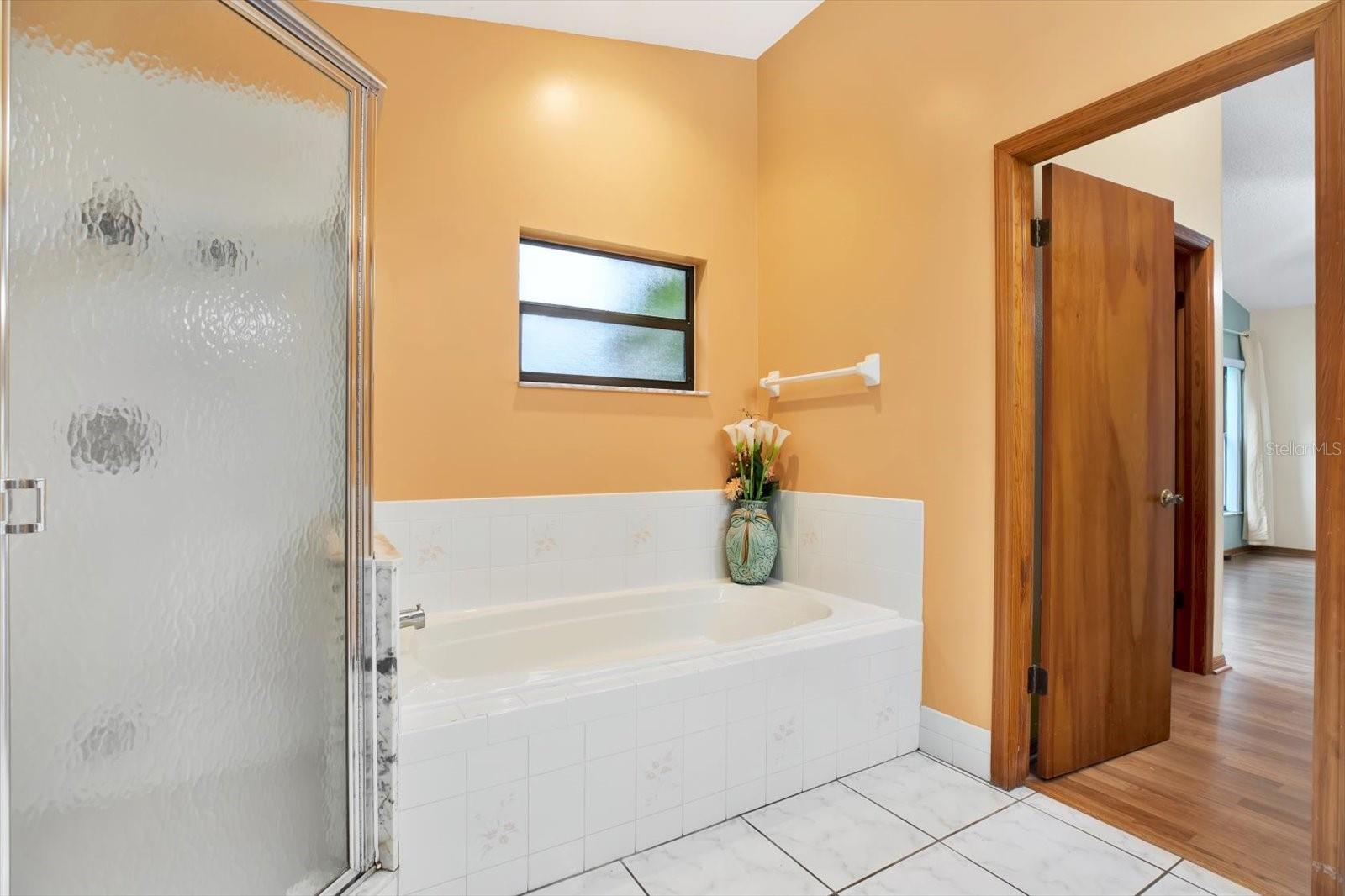 A Jetted Tub and an Extra Large Tile Shower