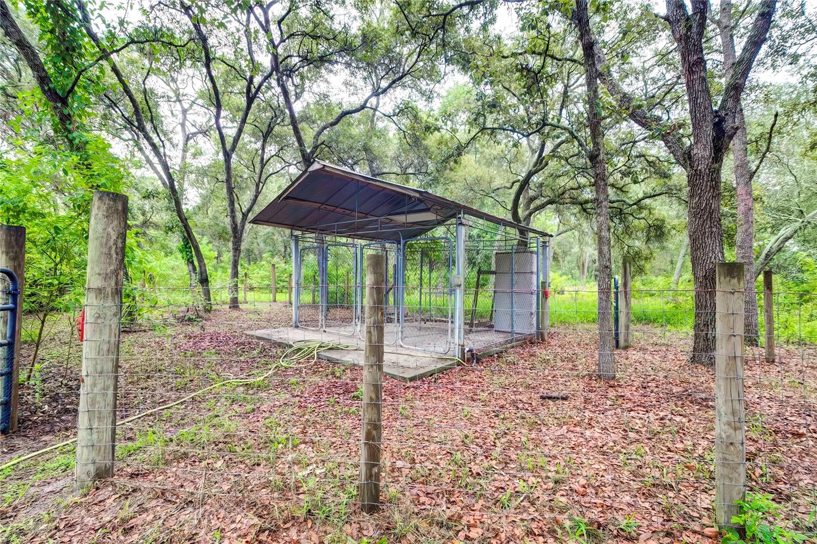 Kennels - Fenced with 2 Gates