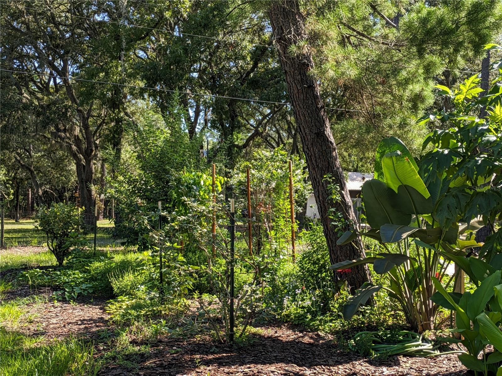 Q1 Rotational and Perennial Beds