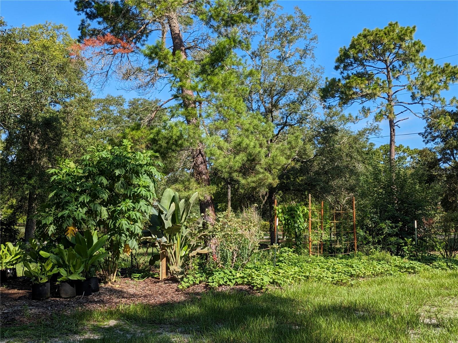 Q1 Rotational and Perennial Beds