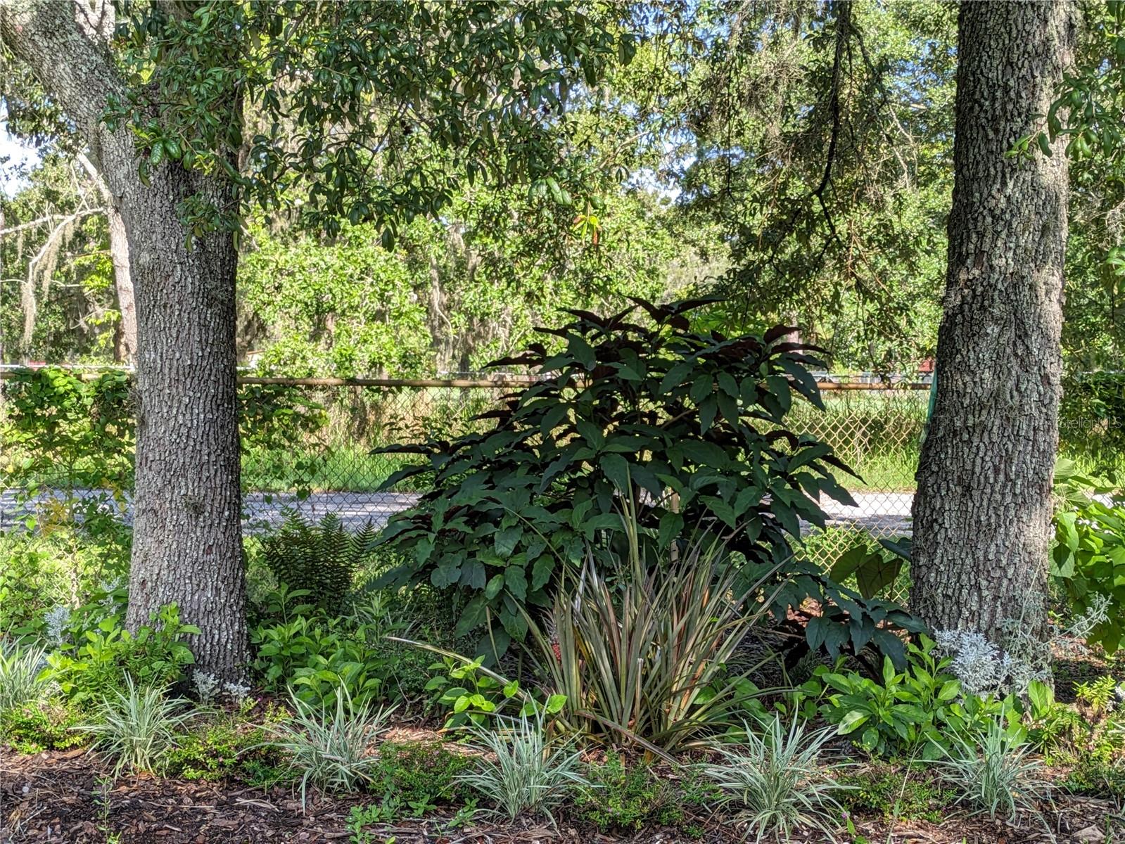 Q1 Shady Rest Area