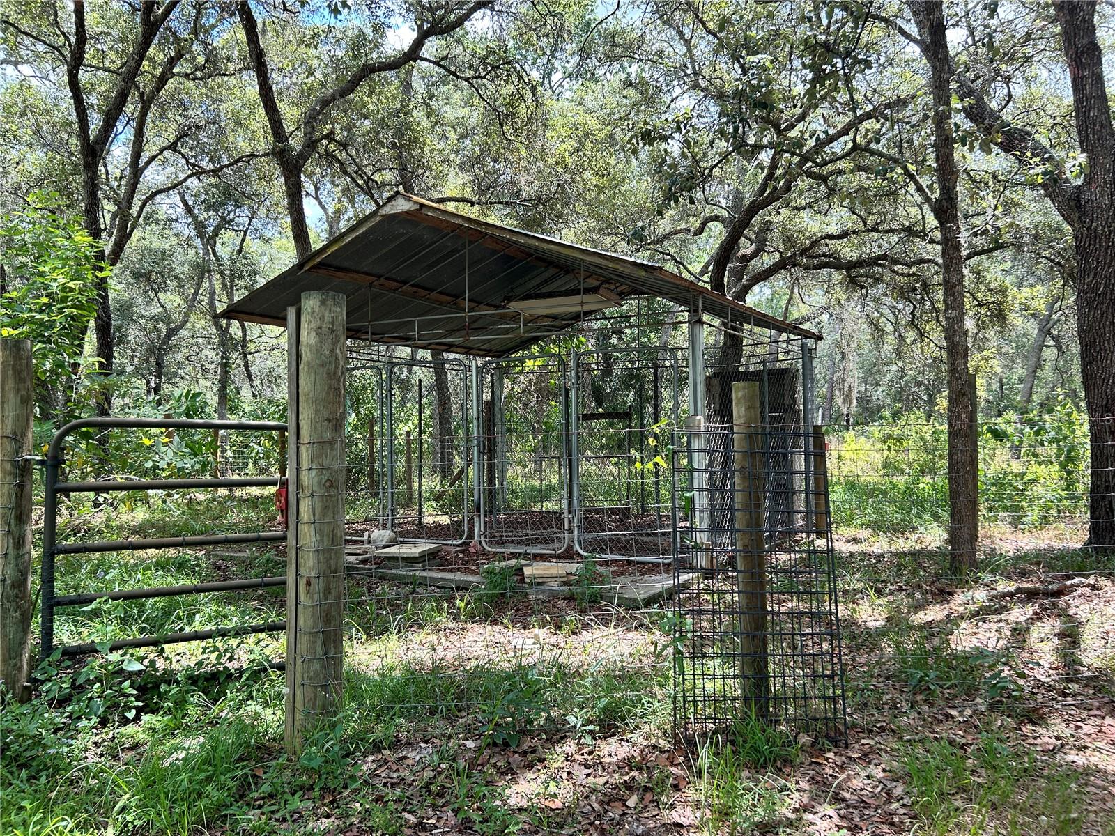 Q2 Kennels Fenced with 2 Gates