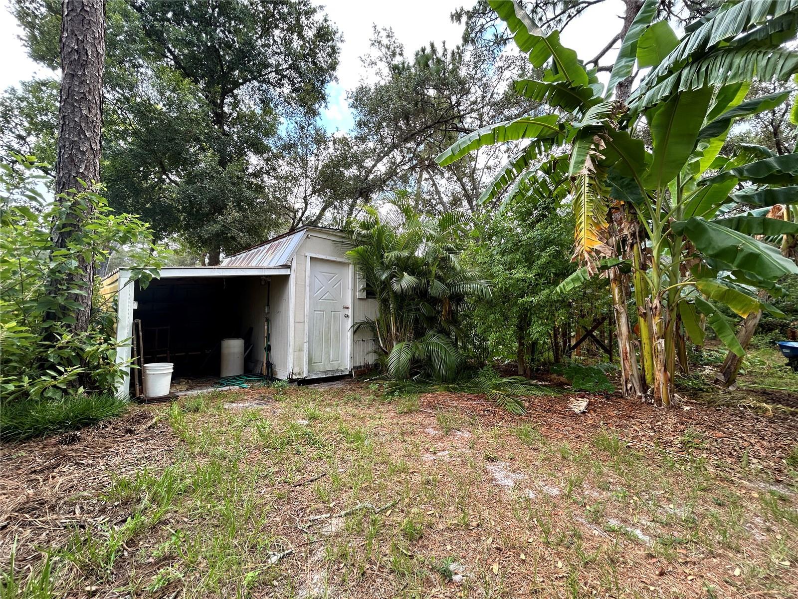 Q2 Storage Shed, Chicken Coop