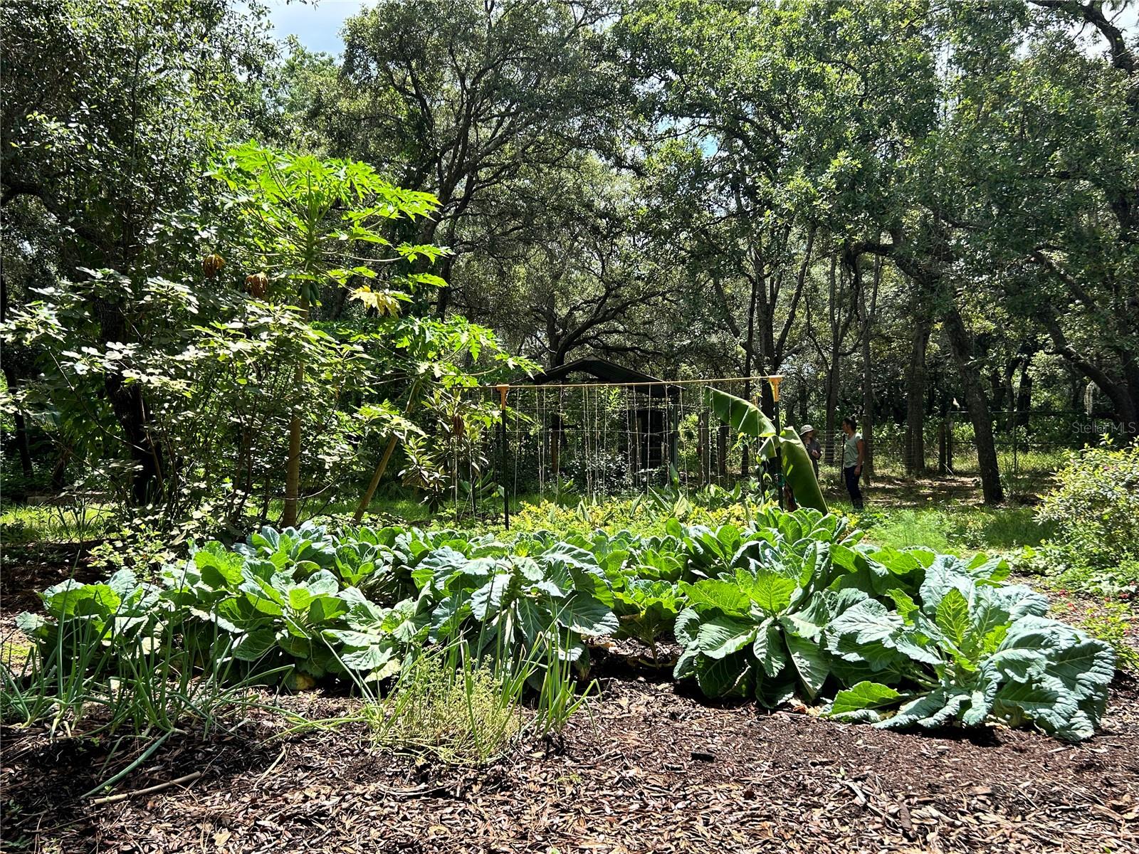 Q2 Rotational Beds, Mixed with Perennials