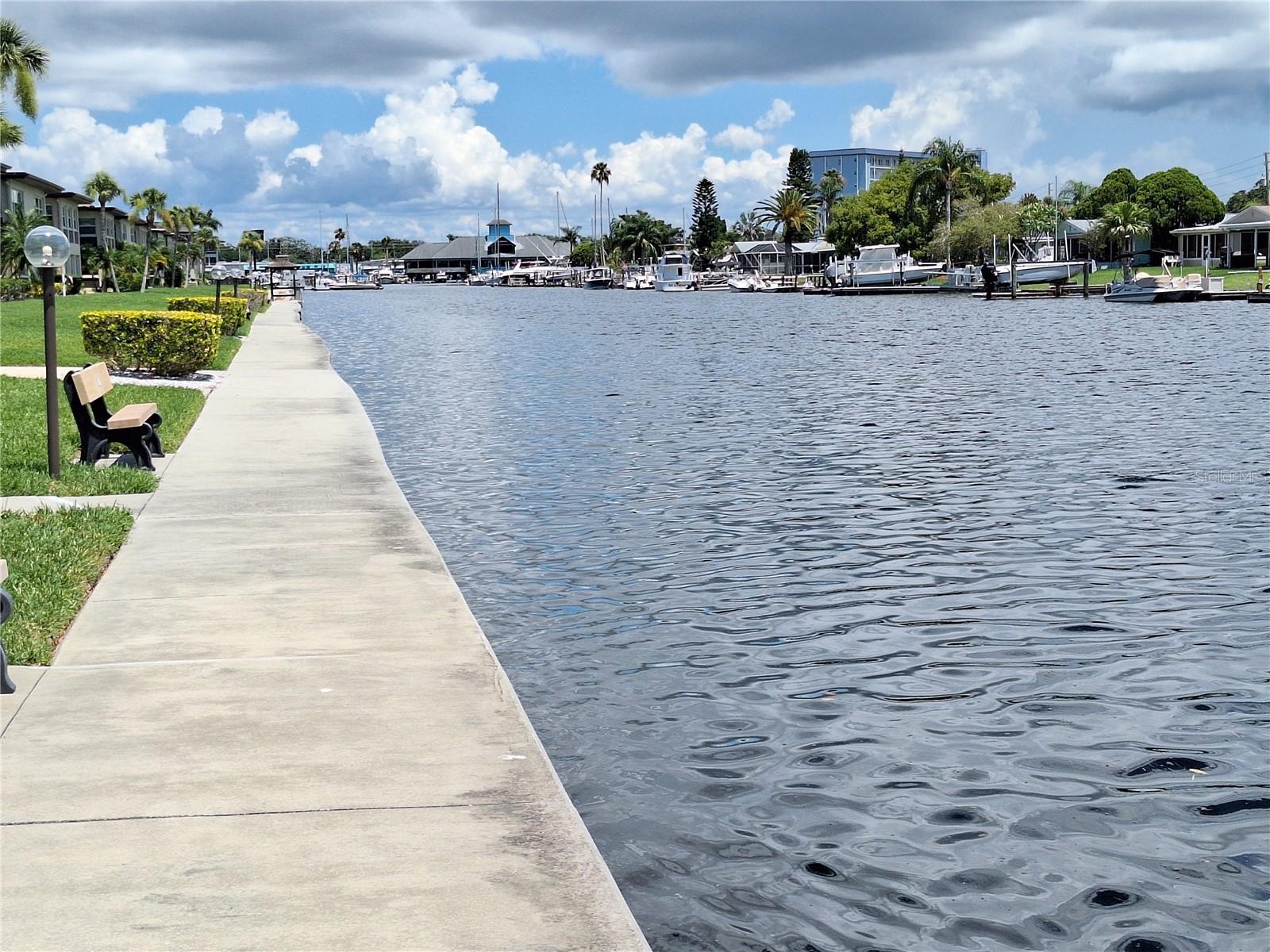 May gaze at a Manatee or some Dolphin along here.