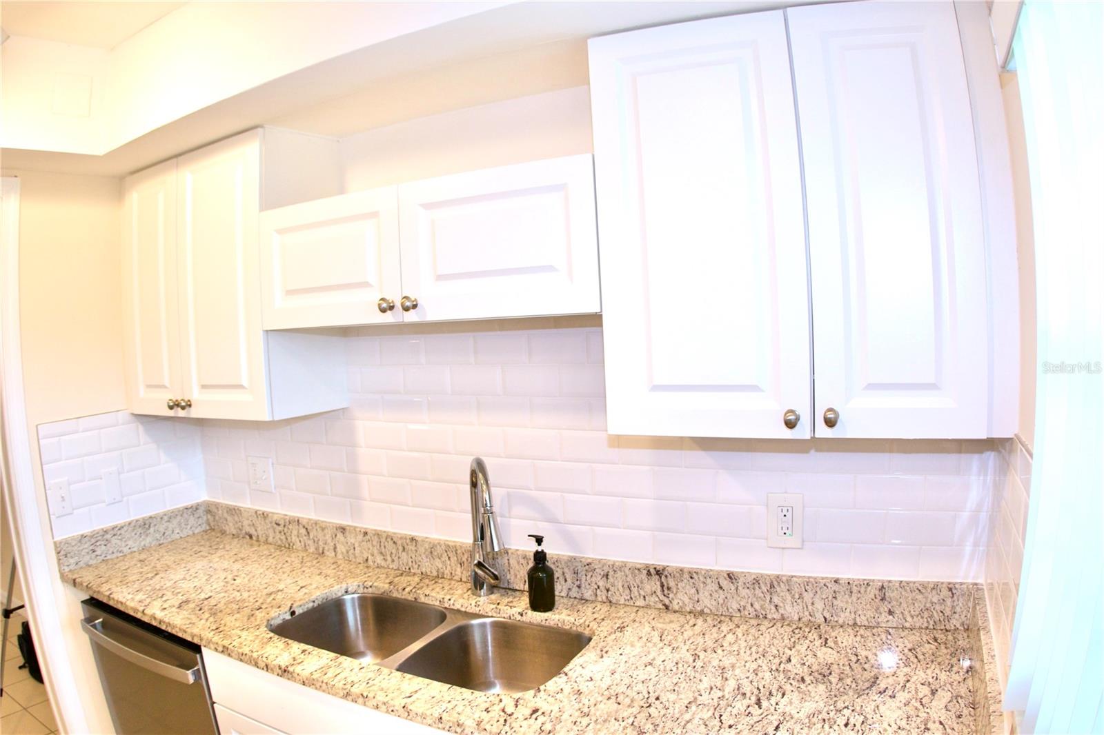 Kitchen Sink and Cabinetry