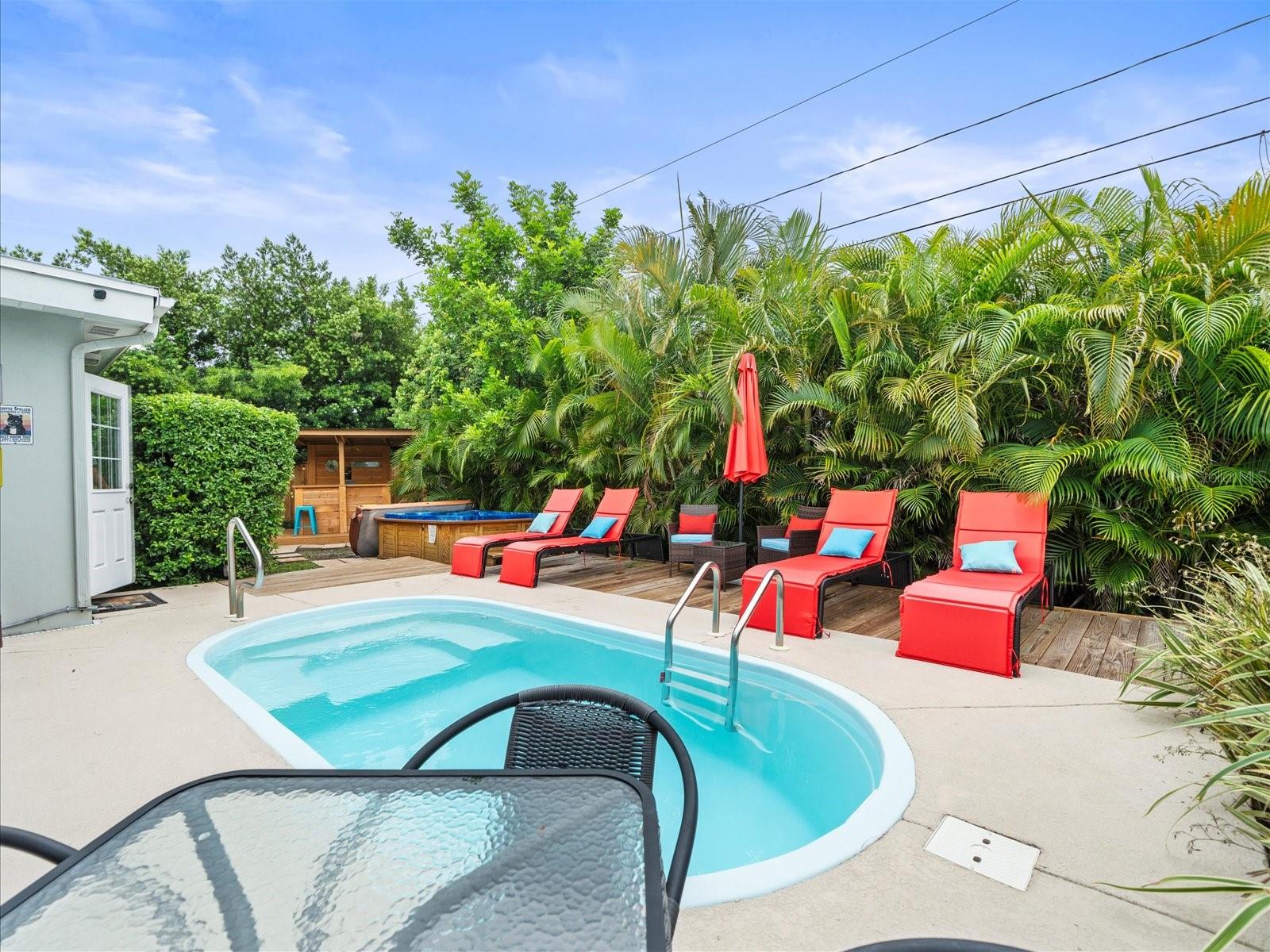 Pool and Lounge Area