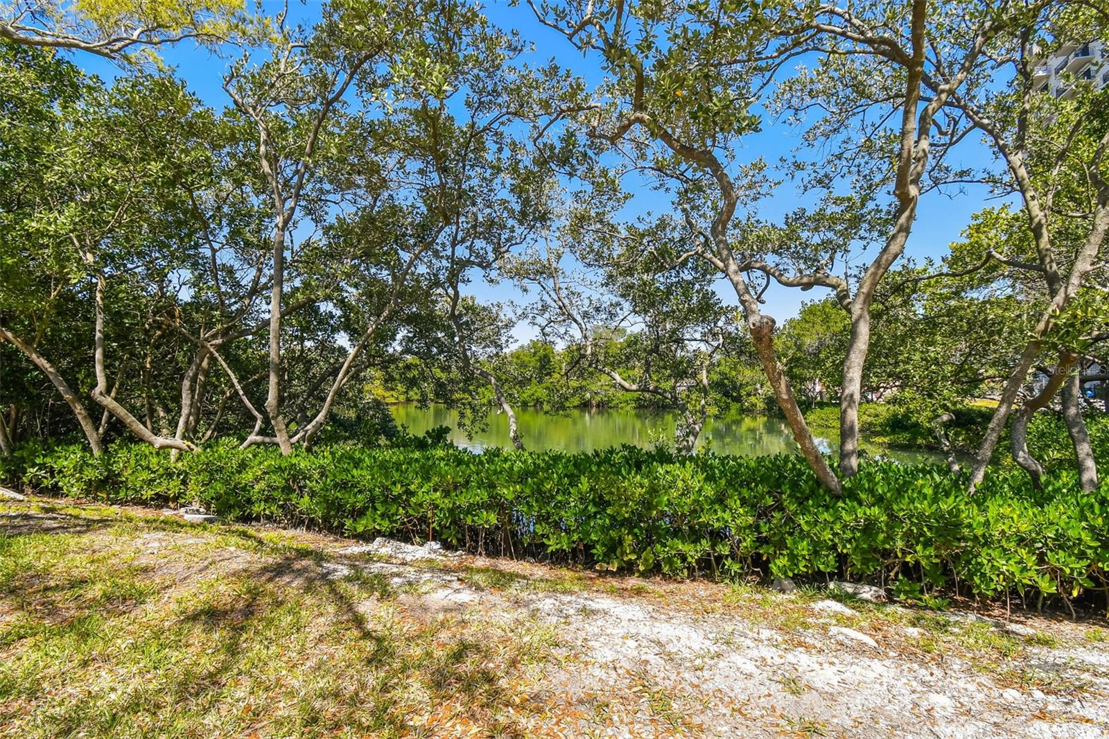 Beautiful Kayak Launch On Property