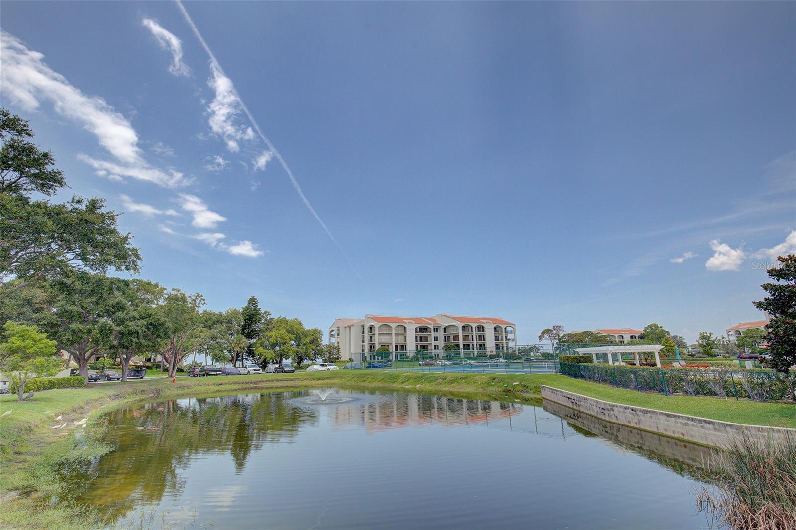 Pond by the tennis/pickle ball courts.