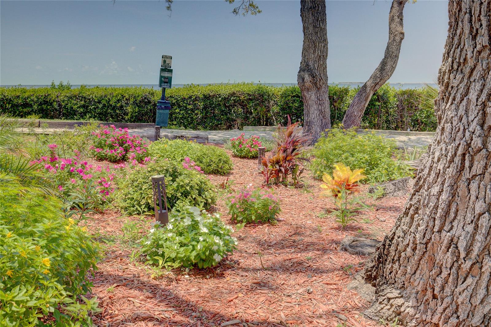 Community Garden