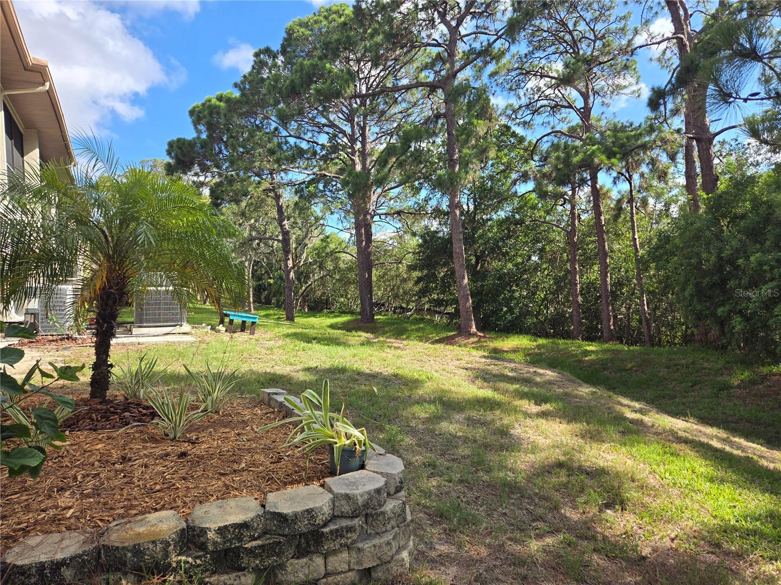 Beautiful Back yard view