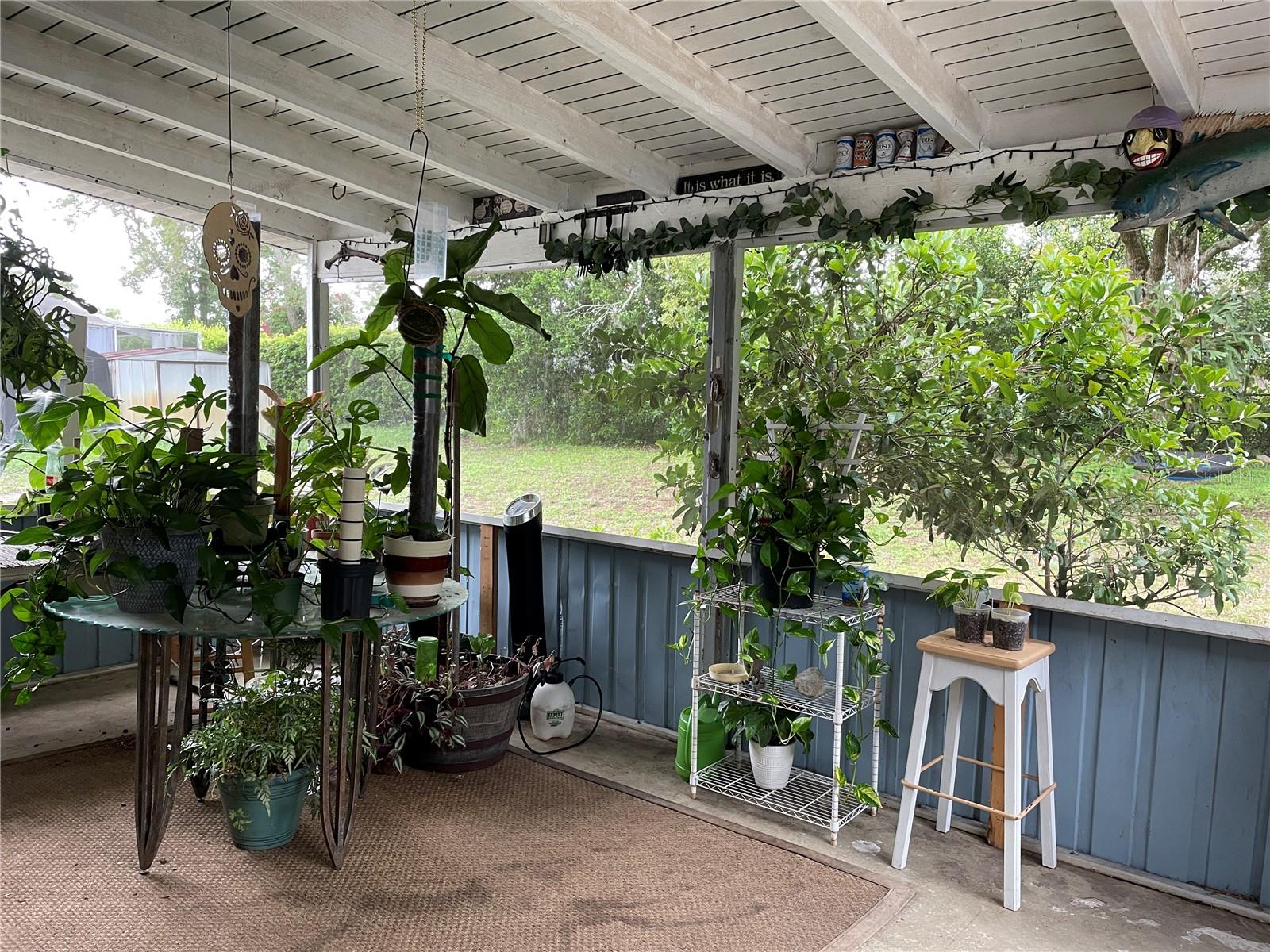 Enclosed and screened lanai.