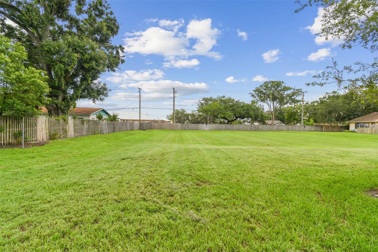 Look at this backyard!