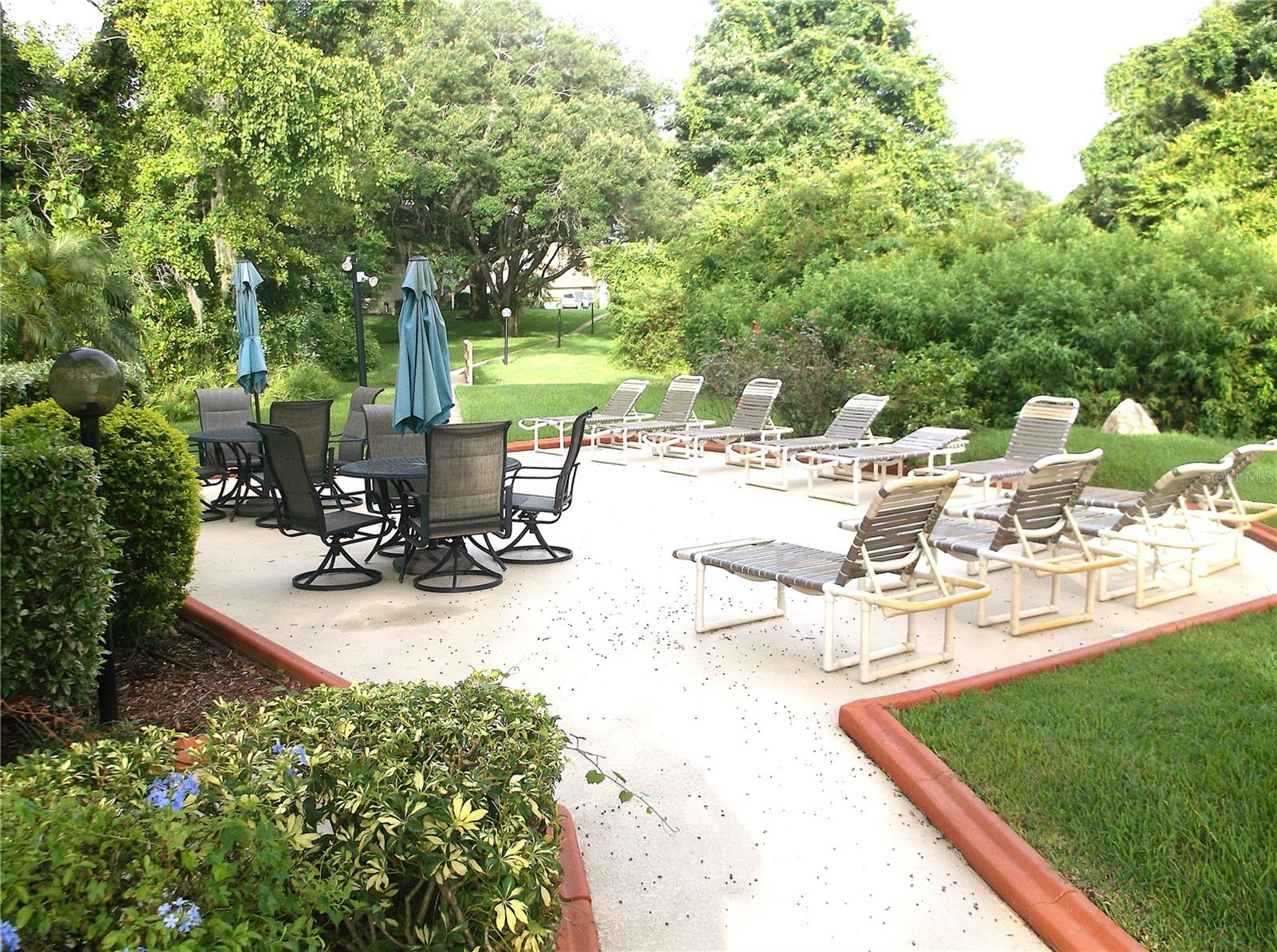 Pool Patio Area