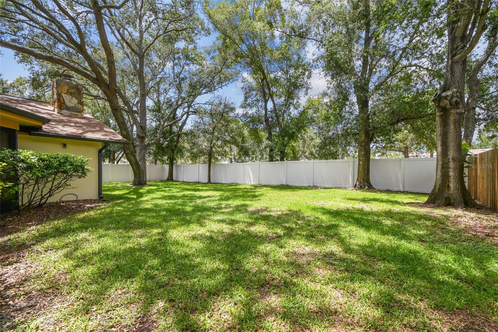 Large Backyard