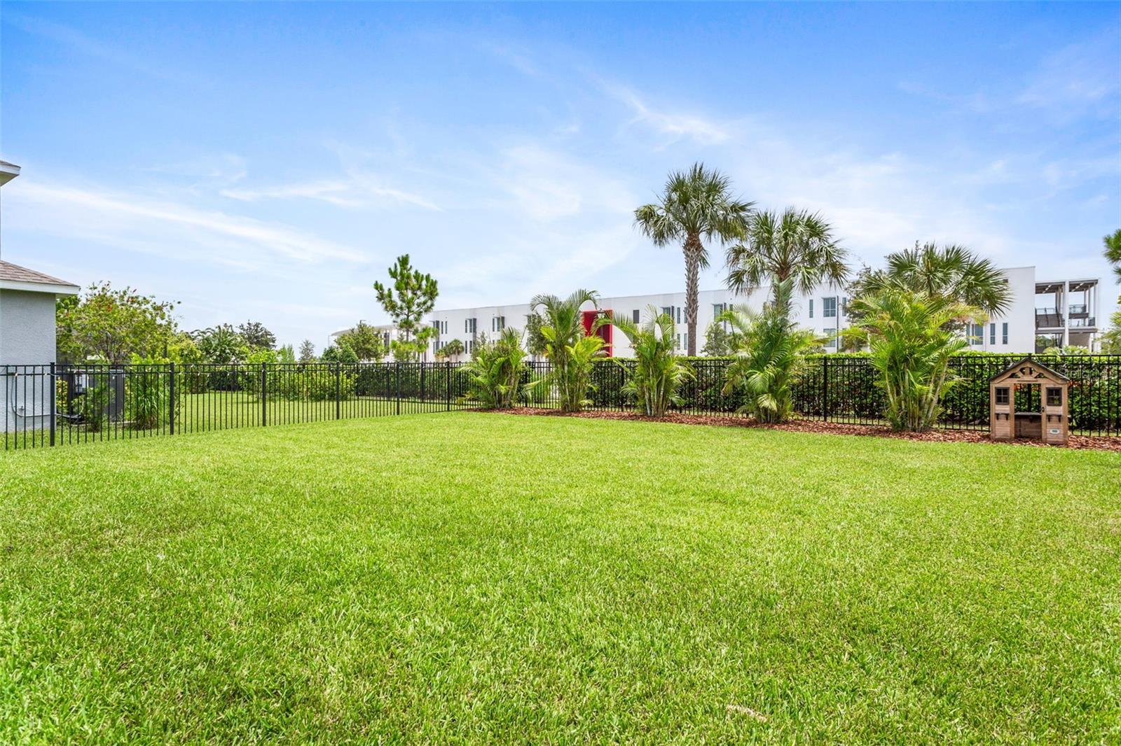 Fenced back yard