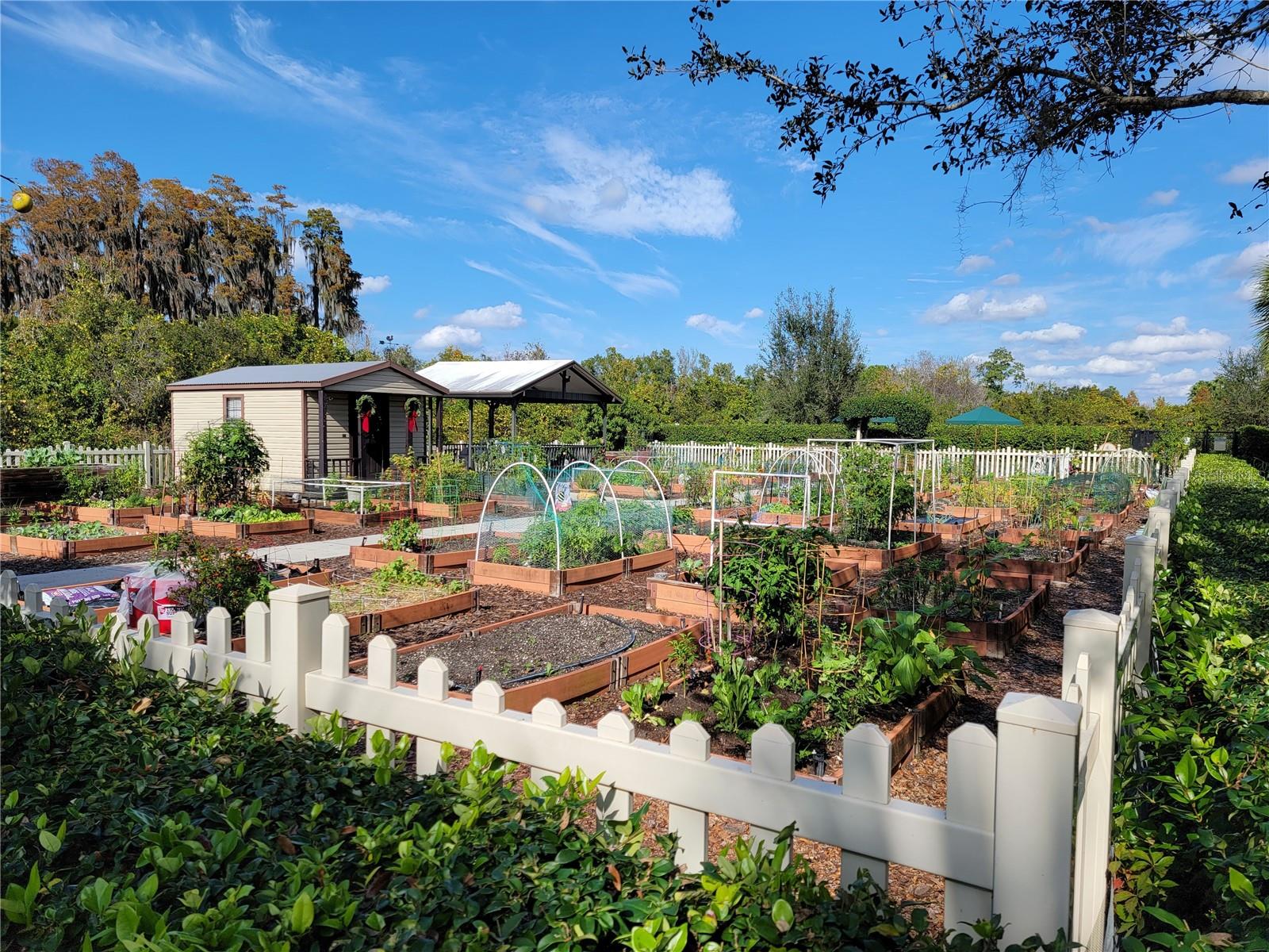 Community Gardens