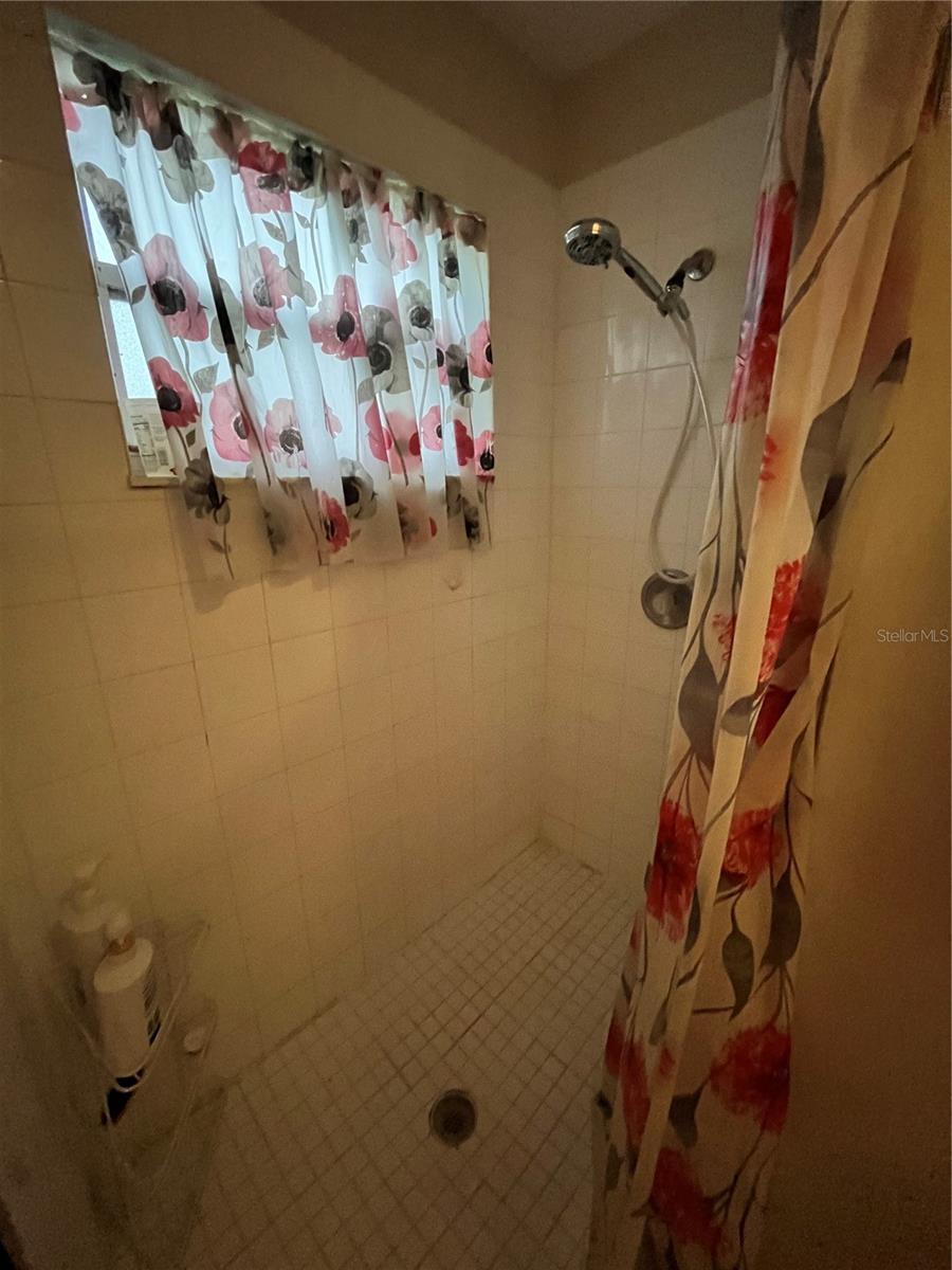 Master shower