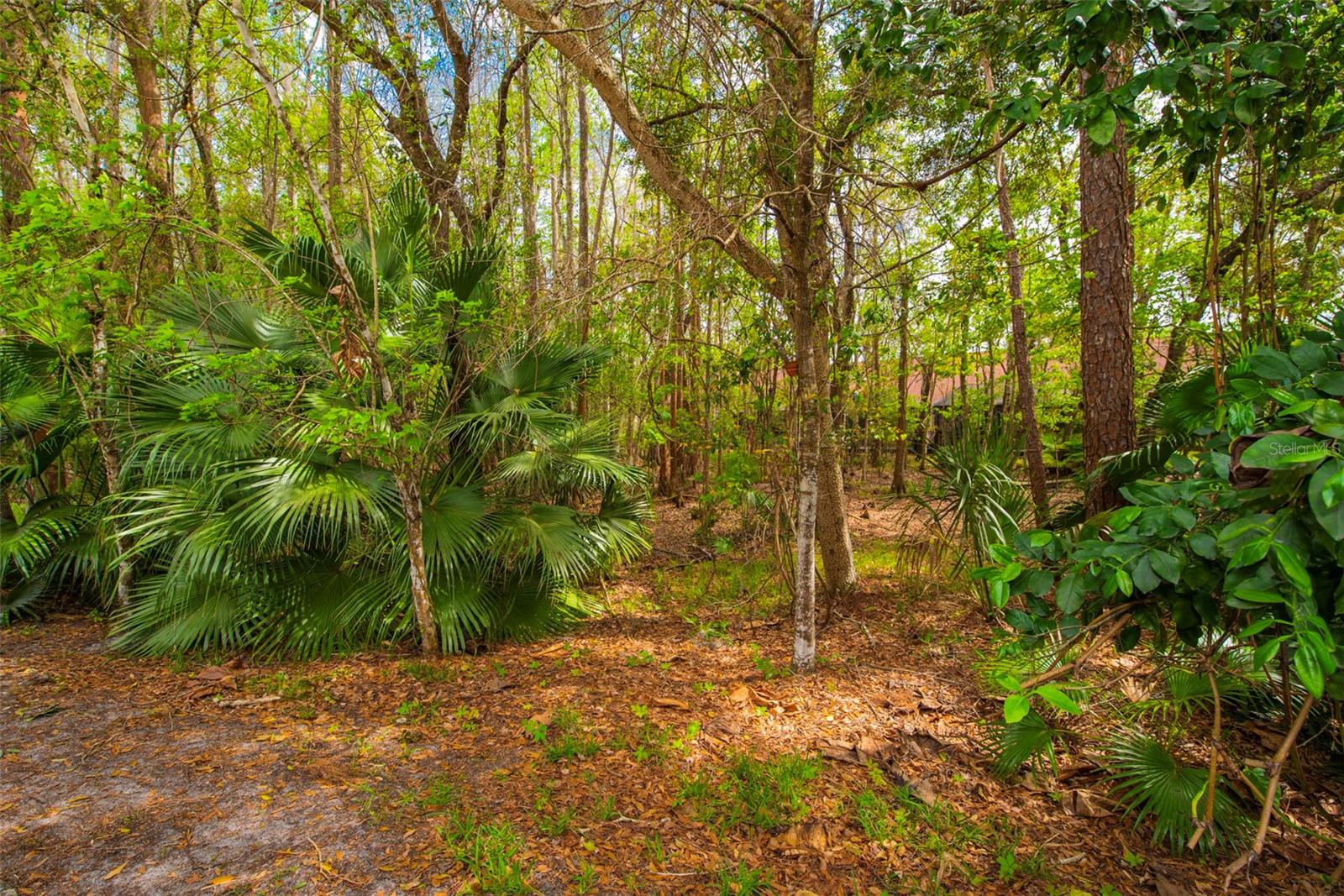 Conservation in back yard.