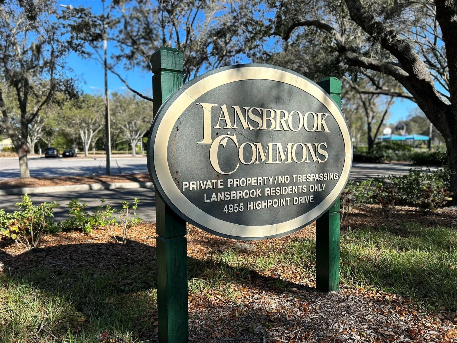 Lansbrook Commons offers pickleball and basketball courts, soccer field and playground!