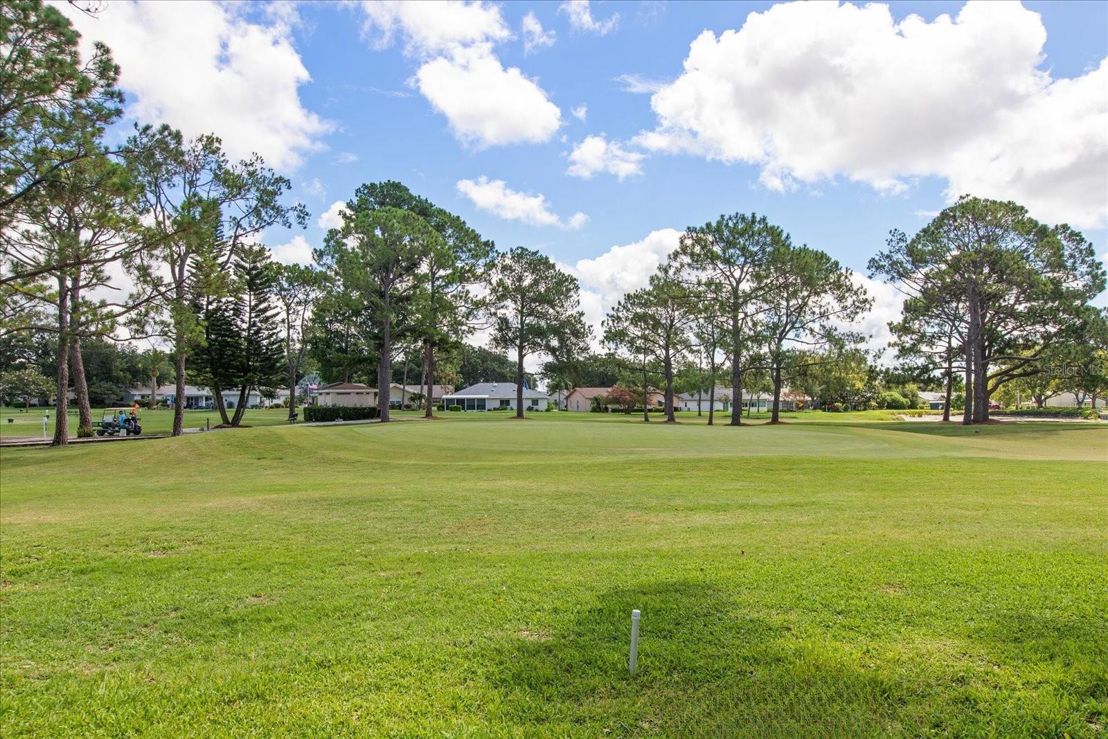 The golf cart path is quite distant, enhancing your private enjoyment~